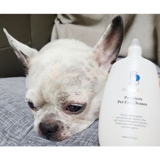 단발모리님이 올린 리뷰 사진 4