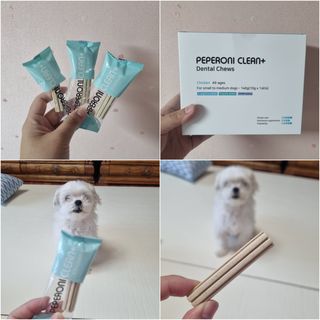 페페로니 클린플러스 덴탈치킨껌 10g x 14p — 4점을 준 리뷰어가 2021년 7월 올린 사용 사진