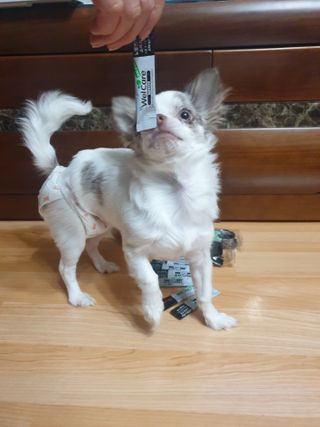 김수연님이 올린 리뷰 사진 2