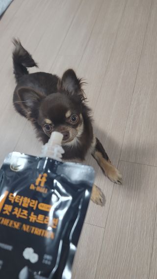 나초단맘님이 올린 리뷰 사진 2