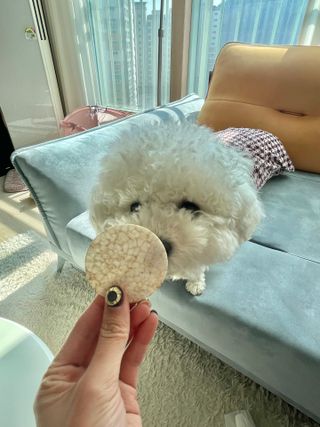 fromsue님이 올린 리뷰 사진 3