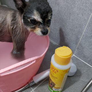 복도리님이 올린 리뷰 사진 2