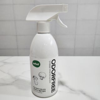 부우기님이 올린 리뷰 사진 1