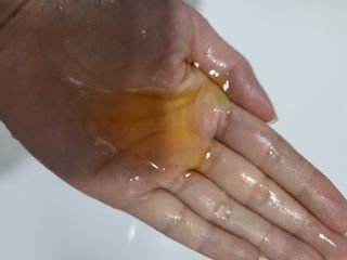 체코 비건화장품 마뉴팍투라 향좋은 천연 맥주샴푸 맥주샤워젤 — 5점을 준 리뷰어가 2022년 5월 올린 사용 사진