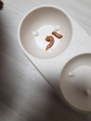 준맘님이 올린 리뷰 사진 1