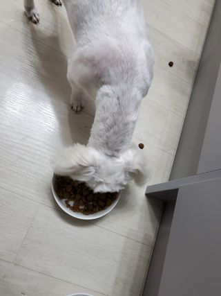피터래빗님이 올린 리뷰 사진 4