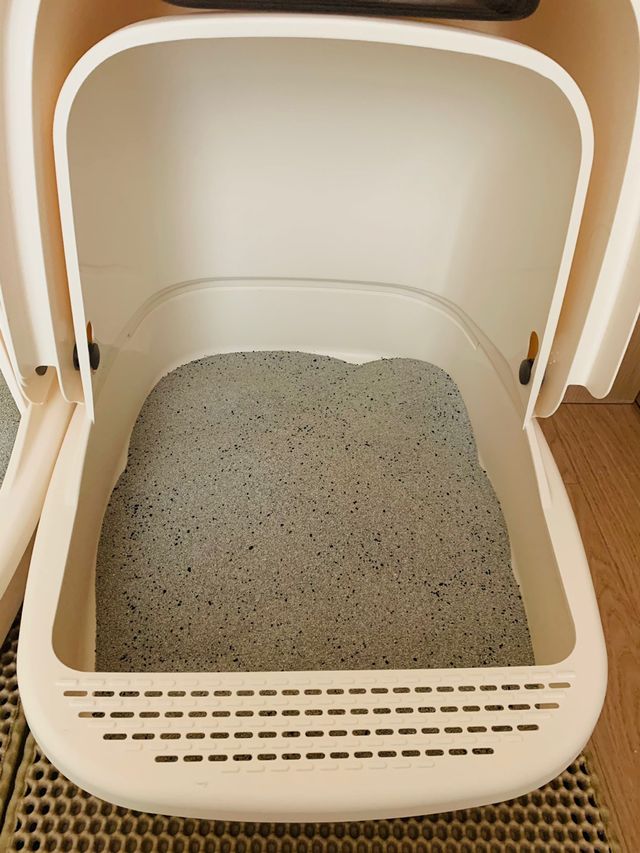 실키식스 9kg 크린 언씬티드 프리미엄 고양이모래 리뷰 사진