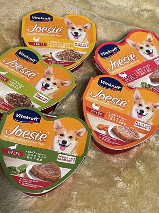 비타크래프트 조에시 하트캔 85g 강아지 습식캔 10캔 — 5점을 준 리뷰어가 2021년 10월 올린 사용 사진