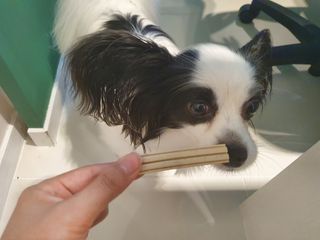 예아님이 올린 리뷰 사진 2
