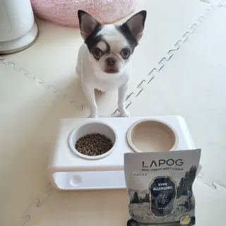 [푸디웜] 라포그 리얼인섹트 소프트키블 스킨 1KG — 5점을 준 리뷰어가 2022년 9월 올린 사용 사진