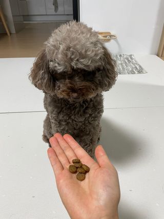 수지님이 올린 리뷰 사진 2