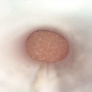[모마네] 이너뷰티 히알루론산 비오틴 코큐텐 저분자피쉬콜라겐 - 3 g 30포 ★석류맛 — 4.5점을 준 리뷰어가 2021년 12월 올린 사용 사진