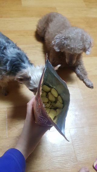 쪼꼬사랑이언니님이 올린 리뷰 사진 2