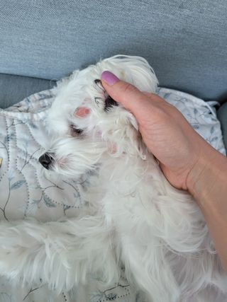 바이에이미님이 올린 리뷰 사진 3