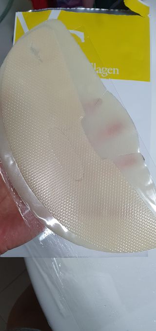 완이네님이 올린 리뷰 사진 1
