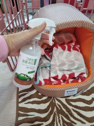 [엠메이데이] 그린티 피톤치드 감쪽같이 500ml + 손소독액 50ml — 5점을 준 리뷰어가 2021년 12월 올린 사용 사진