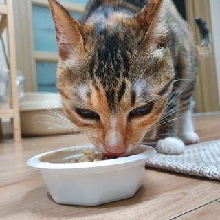 혜자님이 올린 리뷰 사진 2
