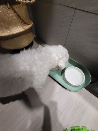 햄님이 올린 리뷰 사진 3
