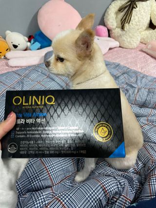 다링님이 올린 리뷰 사진 1