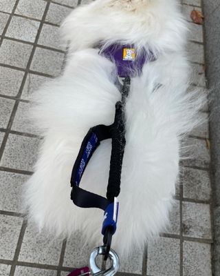 구름님이 올린 리뷰 사진 4