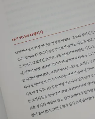 대박이님이 올린 리뷰 사진 2
