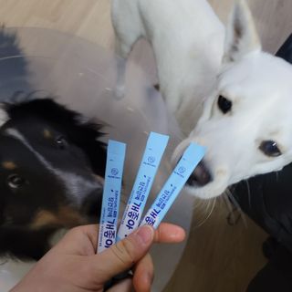 My Pet Care 장건강에 개좋아 — 5점을 준 리뷰어가 2021년 1월 올린 사용 사진
