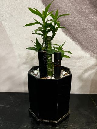 리뷰쟁이님이 올린 리뷰 사진 1