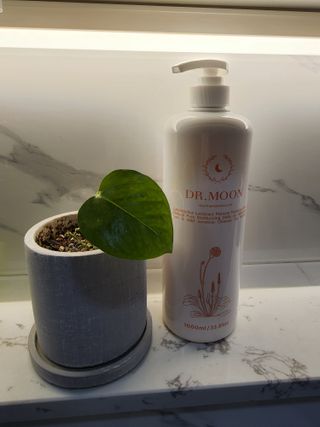 프리[닥터문] 유산균 락토케어 질경초 여성청결제 1000ml (젤타입) — 5점을 준 리뷰어가 2022년 6월 올린 사용 사진