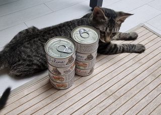 파비올라님이 올린 리뷰 사진 2