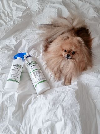 아롱이님이 올린 리뷰 사진 1