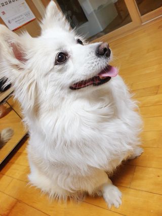 찌니맘님이 올린 리뷰 사진 1