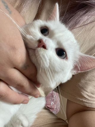 주희렐라님이 올린 리뷰 사진 3