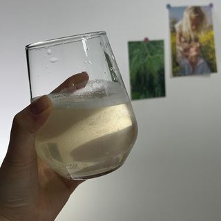 몽베스트 위드더 블랜딩 하우스 콤부차 _ 버라이어티팩 — 3점을 준 리뷰어가 2023년 6월 올린 사용 사진