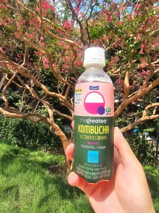 더그레잇티 콤부차 [매일유업] 더그레잇티 44kcal 콤부차 300ml *12개입 (오리지널 6개+베리리치 6개) — 5점을 준 리뷰어가 2023년 7월 올린 사용 사진