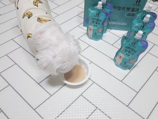 두부님이 올린 리뷰 사진 1