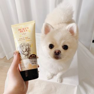YulaVonvon님이 올린 리뷰 사진 3