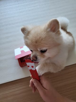 디오르 버닝레드 — 4점을 준 리뷰어가 2022년 3월 올린 사용 사진
