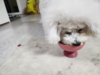 꾸꾸엄마님이 올린 리뷰 사진 3