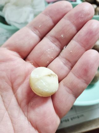 비나프렌즈 (구매평) 25년 햇 수확 알큰 프리미엄 껍질 까먹는 통 마카다미아 — 5점을 준 리뷰어가 2025년 8월 올린 사용 사진