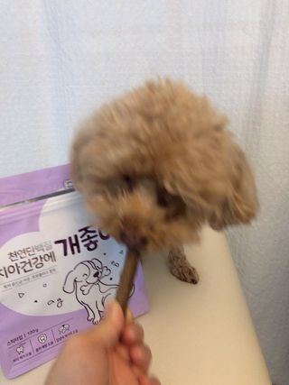My Pet Care 천연단백질 치아건강에 개좋아 — 5점을 준 리뷰어가 2020년 12월 올린 사용 사진