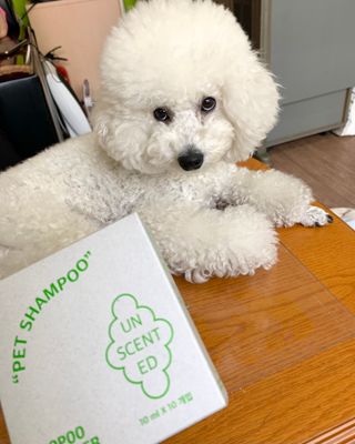 cherry님이 올린 리뷰 사진 1