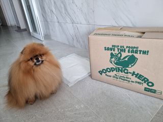 아롱이님이 올린 리뷰 사진 1