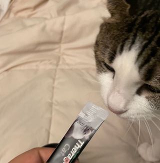 라라님이 올린 리뷰 사진 2