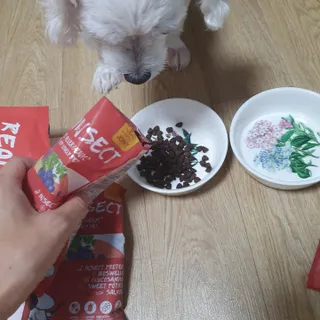 [푸디웜] 라포그  리얼인섹트 관절 저알러지 강아지 사료  1.2KG — 5점을 준 리뷰어가 2022년 8월 올린 사용 사진