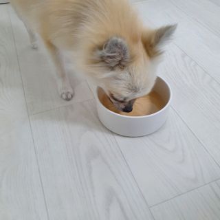 양용언님이 올린 리뷰 사진 4