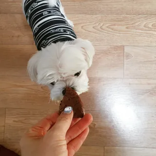 뿌꾸님이 올린 리뷰 사진 2