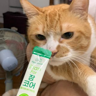 조이님이 올린 리뷰 사진 2
