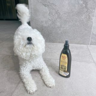 JENNY님이 올린 리뷰 사진 1