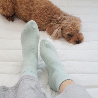[사이즈가 있는 양말 필로이]여자 순면 통파일 꿀잠 수면 양말【 S, M, L 】3가지 사이즈_컬러 랜덤 3족 — 5점을 준 리뷰어가 2022년 10월 올린 사용 사진