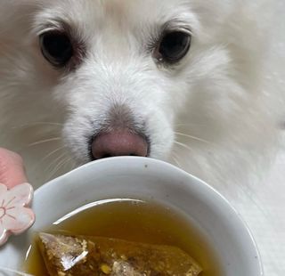 구름님이 올린 리뷰 사진 2